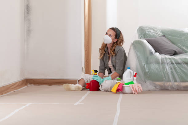 Reliable Mold Testing contractor in Saugatuck, MI by WQB Mold Removal